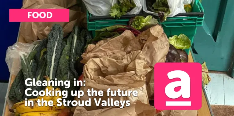 Gleaning in: Cooking up the Future in the Stroud Valleys